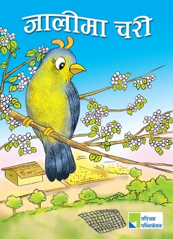 जालीमा चरी