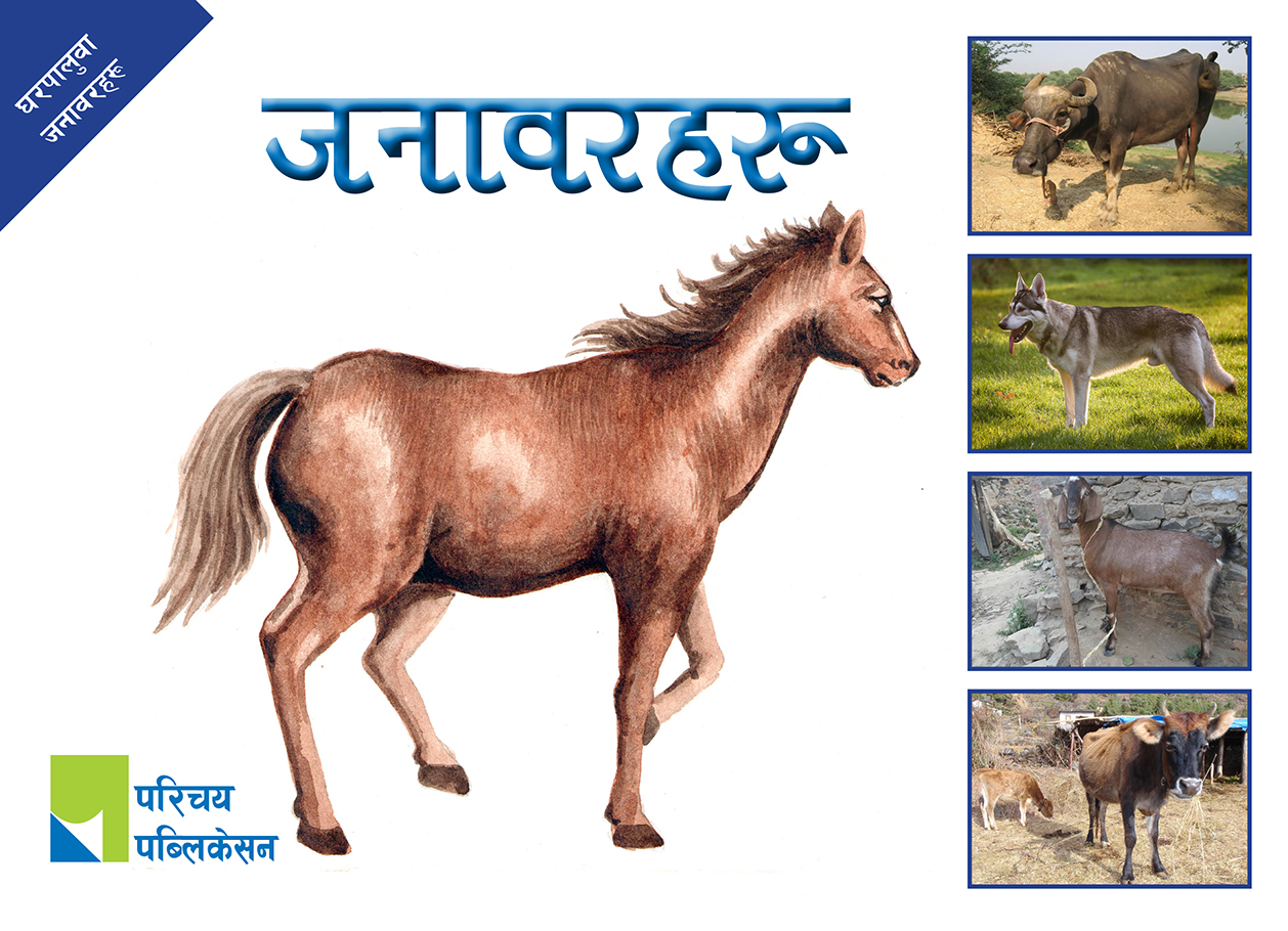 घरपालुवा जनावरहरू