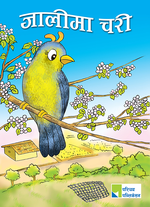 जालीमा चरी